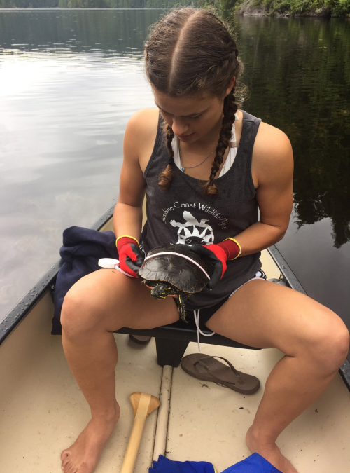 Finola sits in a canoe holding a turtle with both hands. The turtle has bright yellow stripes along the dark green skin of it's feet and head.