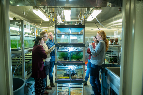 A group of researcher stand looking at a floor to ceiling shelf holding many small aquariums. The room around them is packed with more aquariums and equipment.