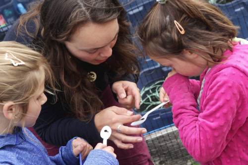 Two girls hold white plastic spoons with a tadpole on the. Rosanna gently touches one with the back of her index finger.