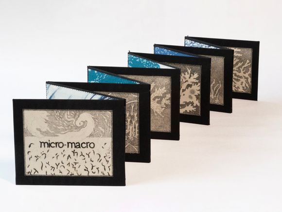 <i>MicroMacro</i>. Folding book - Ink drawing on cotton, cotton fabric, digital drawing printed onto fabric lining, matboard. (2022)